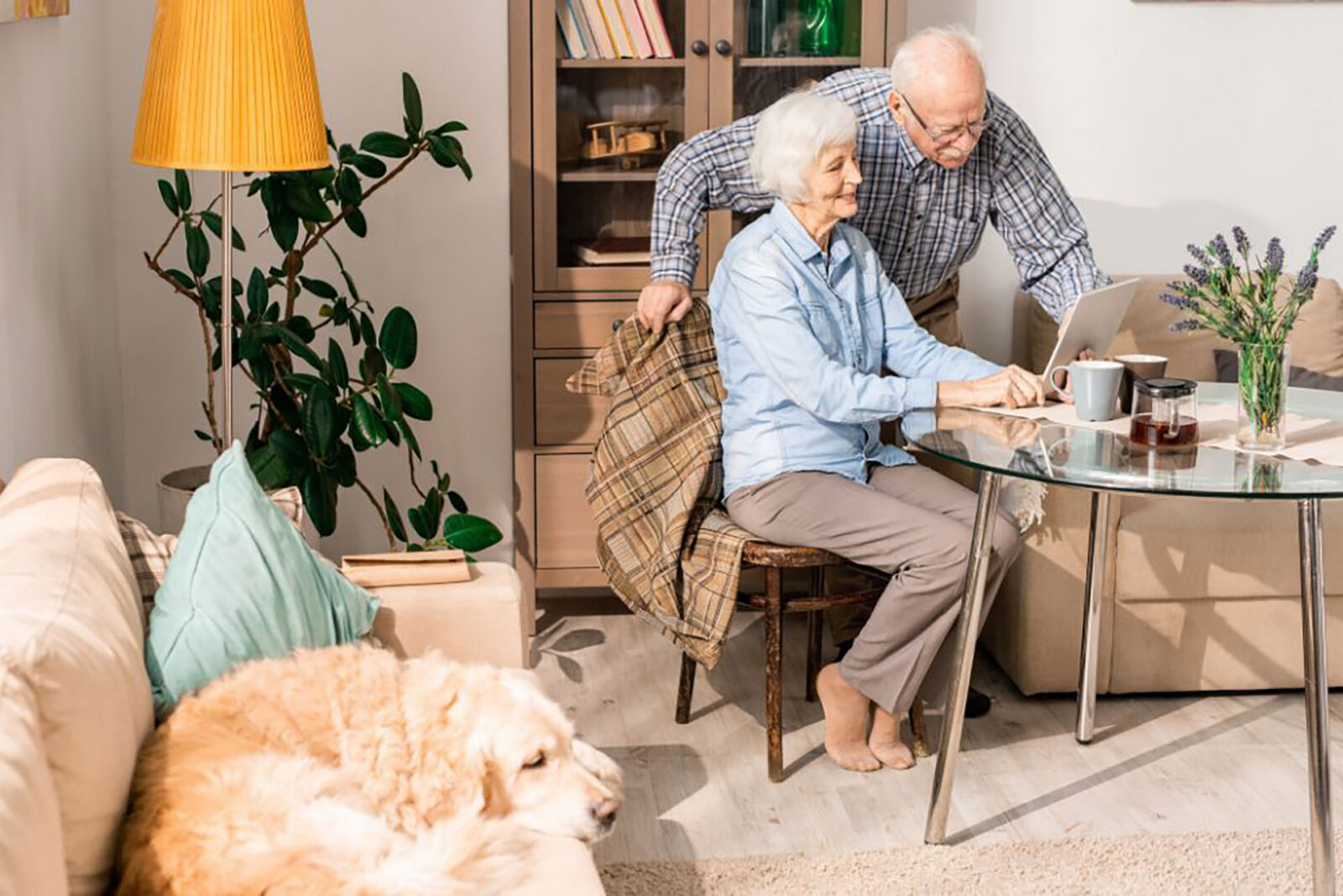 Elderly couple using a laptop in a cozy living room.